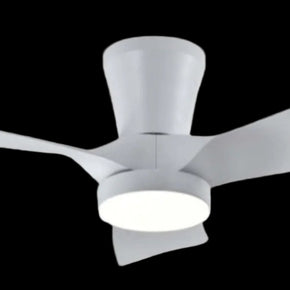 Hello Today Ceiling Fan F4  White (7888590798937)