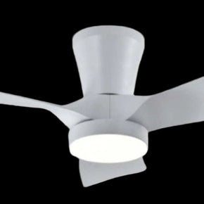 HELLO TODAY Ceiling Fan Hello Today Ceiling Fan F4  White (7888590798937)