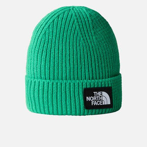 The North face Beanie The North Face Logo Box Cuffed Beanie Optic Emerald (7525762236505)