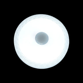 Bluetooth Ceiling Light WT902-400 (7882830643289)